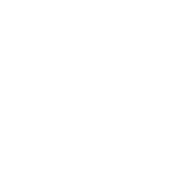 Fast Food